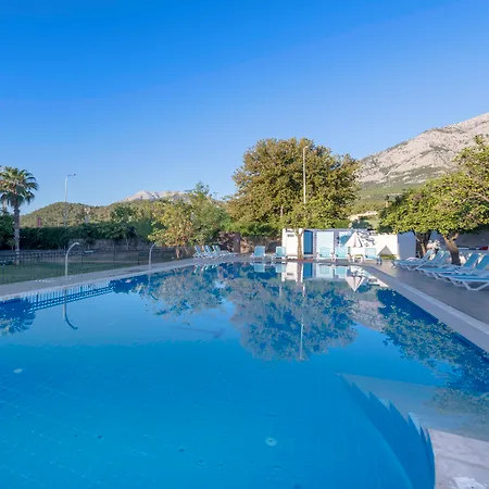 Armas Gul Kemer